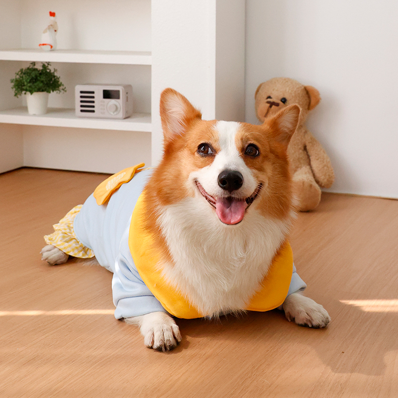 Ropa para perros - Calentadore - Winter Clothing Leg Warmers reseña y precio