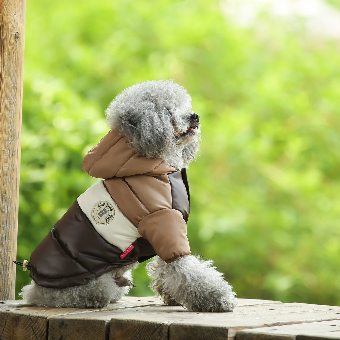 Chaleco para mascotas, suminis - Winter Clothing Options reseña y precio