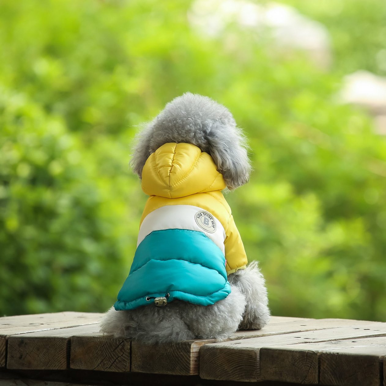 Chaleco para mascotas, suminis - Winter Clothing Options reseña y precio