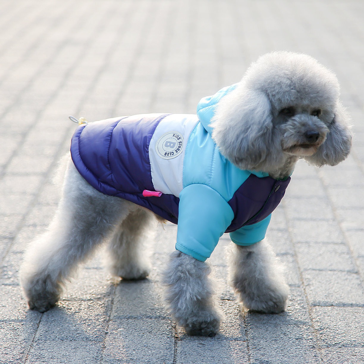 Chaleco para mascotas, suminis - Winter Clothing Options reseña y precio